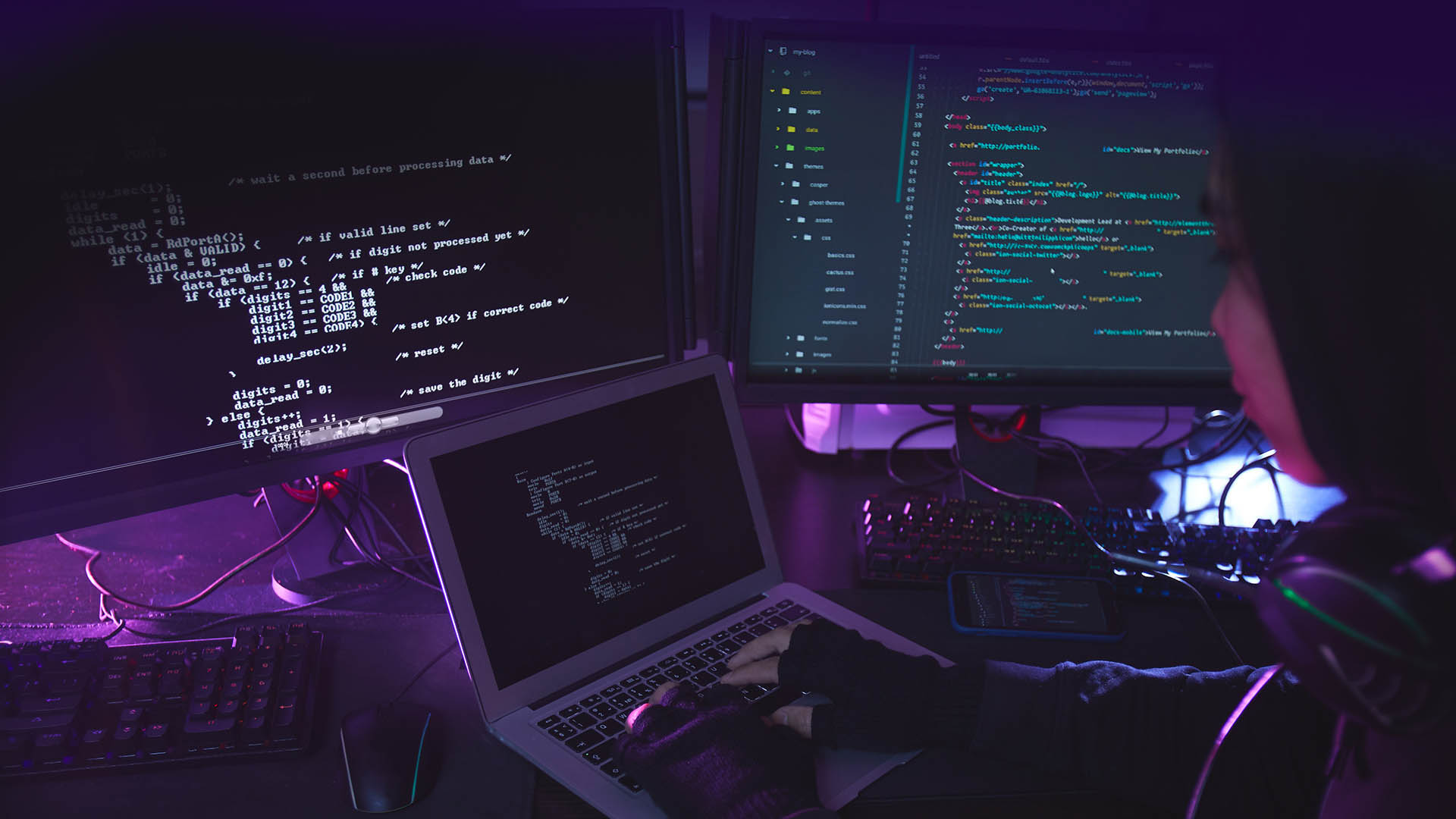 web developer profesional